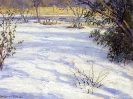 Snow Scene