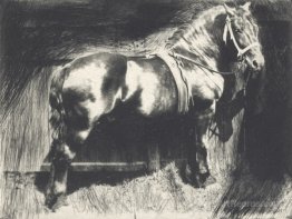 The Horse