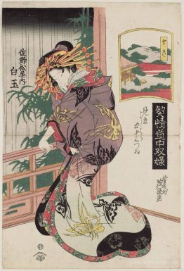 Seki: Shiratama of the Sano-Matsuya