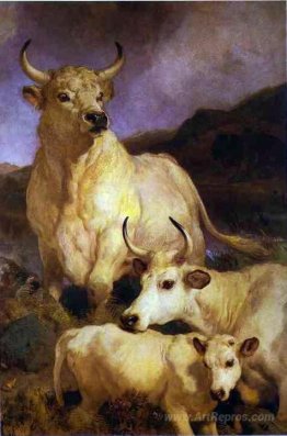 The Wild Cattle of Chillingham