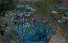 Irises and Water-Lilies