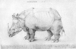 Rhinoceros