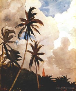 Palm trees (Bahamas)