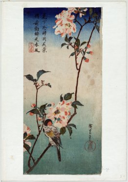 Small Bird on a Branch of Kaidozakura