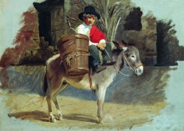 A boy on a donkey