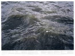 Untitled (from the series Still Water (The River Thames, for Exa