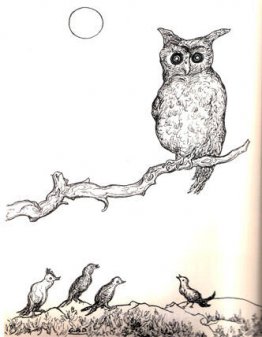 Untitled (Owl)