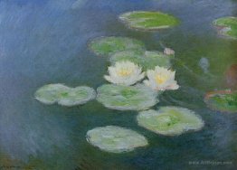 Water Lilies, Evening Effect