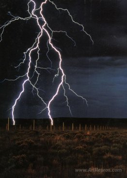 The Lightning Field