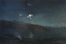 Moonlit night. Landscape with fire