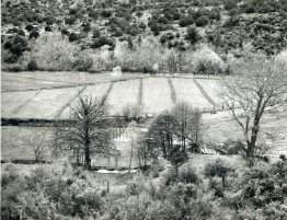 Arizona Landscape