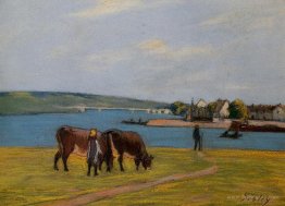 Cows by the Seine at Saint Mammes