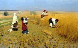 Harvest Gathering in Ukraine