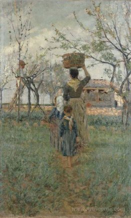 Return from the fields (Spring)