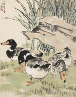 Three Ducks