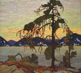 The Jack Pine