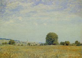 Fields at Saint Cloud