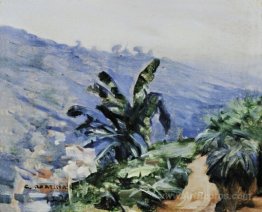 Landscape with banana trees