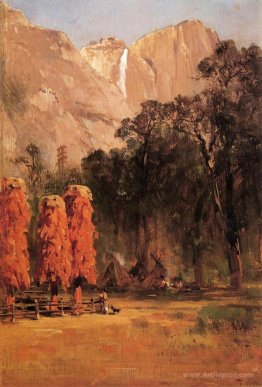 Acorn granaries, by Piute Indian camp in Yosemite