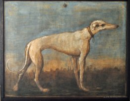 Greyhound