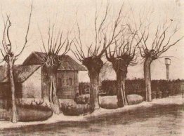 Small House on a Road with Pollard Willows