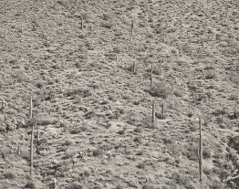 Arizona Landscape, 1945 (gelatin silver photograph)