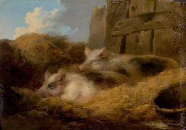 Two Pigs in Straw (Barn with Pigs)