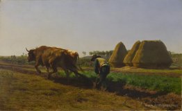 Ploughing Scene