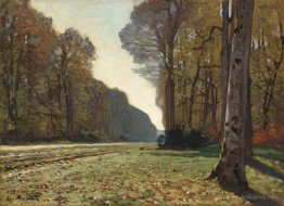 The Pave de Chailly