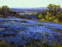 Bluebonnets, Late Afternoon, North of San Antonio