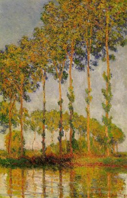 Poplars, Row in Autumn