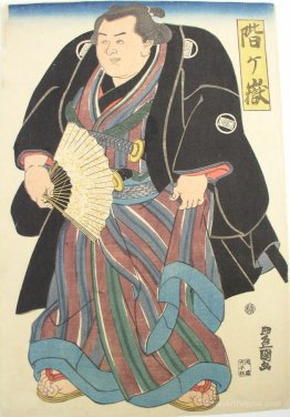 Sumo wrester in blue-brown striped underkimono