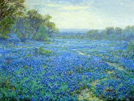 Bluebonnet Scene