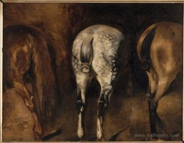 Three rumps of horses