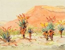 Aloes near a River