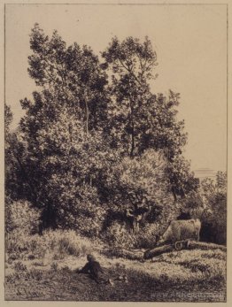 Landscape with Cows