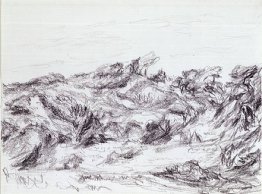 Untitled (Dunes with peaked brush)