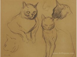 Cat Sketches