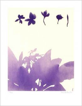 Untitled (Flowers)