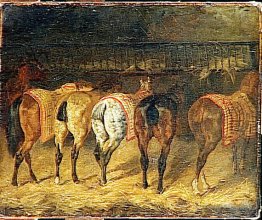 Five horses seen from behind with croupes in a stable