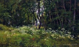 Flowers on the forest edge