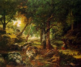 Forest landscape Sun