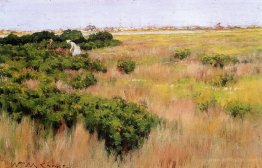 Landscape near Coney Island