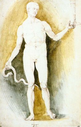 Male Nude with a Glass and Snake (Asclepius)