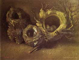 Still Life with Three Birds Nests