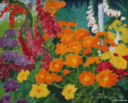 Flower garden (marigolds)