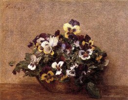 Pansies