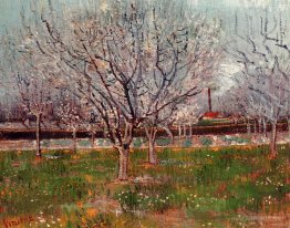 Orchard in Blossom (Plum Trees)