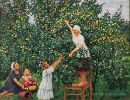 Picking Apples