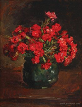 Carnations